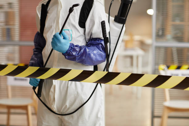 Professional Sewage Cleanup technician working in Fleming, CO